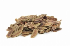 Sinameki Yaprağı Kullanımı ve Faydaları Nelerdir? Sinameki Yaprağı Kullanımı ve Faydaları Nelerdir?